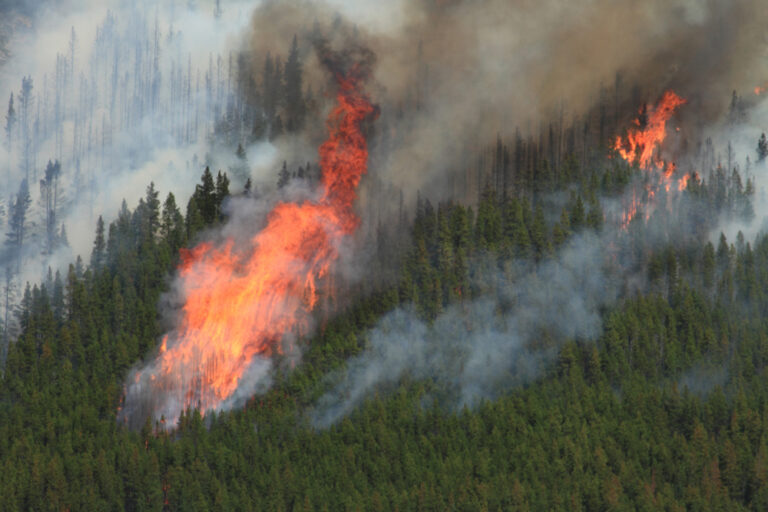 Alberta Wildfires: Cooler Weather Offers Respite in Canada’s Oil-Rich Province