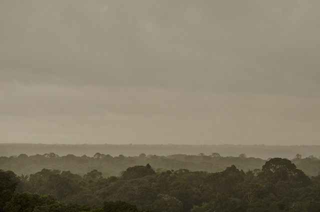 Race Against Time: Scientists Uncover Unknown Pathogens in the Amazon