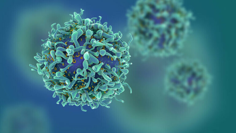 Breakthrough in Israeli Cancer Research: Identifying Ideal Candidates for Immunotherapy