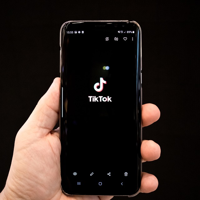 TikTok’s AI Chatbot ‘Tako’ Undergoes Testing in the Philippines