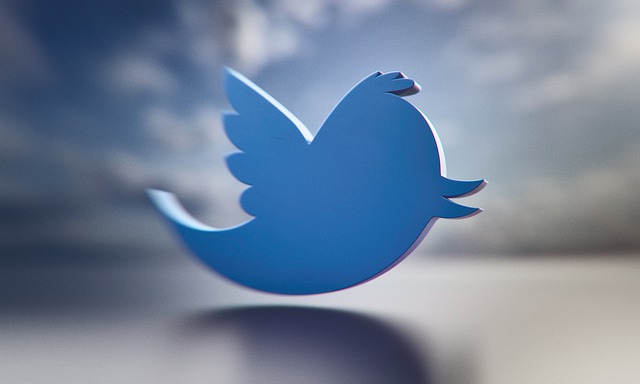 Twitter Considers Exiting EU Disinformation Code, Says EU Official