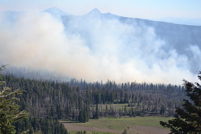 Alberta Skies Blanketed: Deteriorating Air Quality Amidst Wildfires