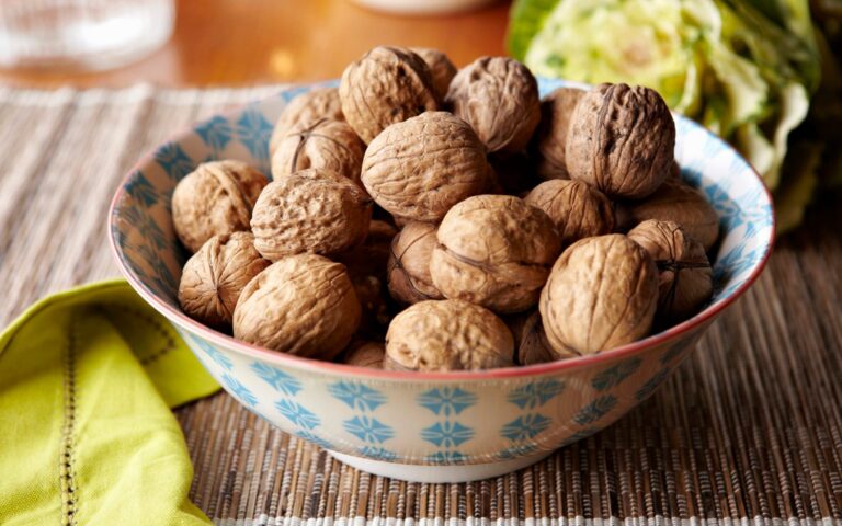 The Nutty Secret to Enhancing Memory: Could Eating More Nuts Boost Brain Function?