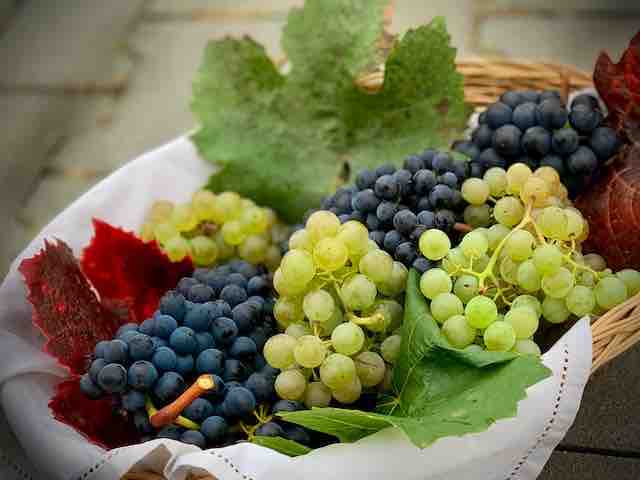 Grapes: Unlocking the Secrets to a Healthy Heart and Gut