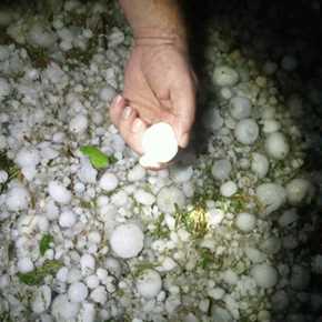 Colorado Concert Chaos: Golf Ball-Size Hailstorm Injures Dozens