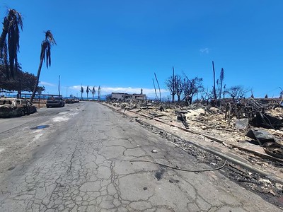 Devastating Losses: Assessing the Economic Toll of Maui Fires – At Least $4 Billion