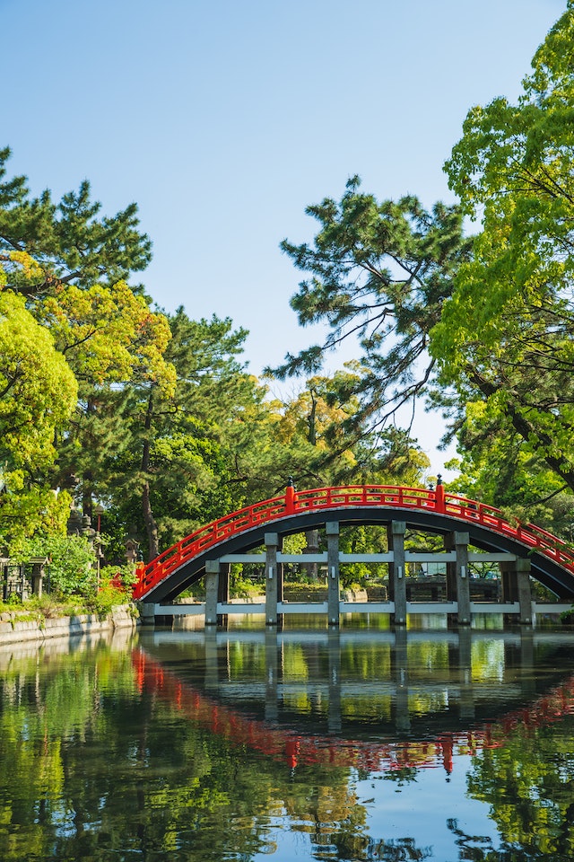 Discovering the Hidden Charms of Florida Beyond Beaches and Theme Parks