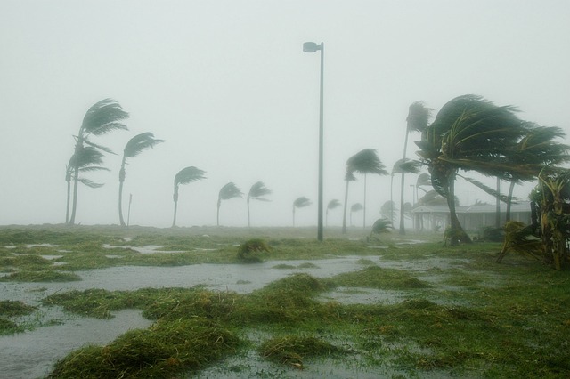 Hurricane Idalia Leaves Over 140,000 Homes Without Power in Florida