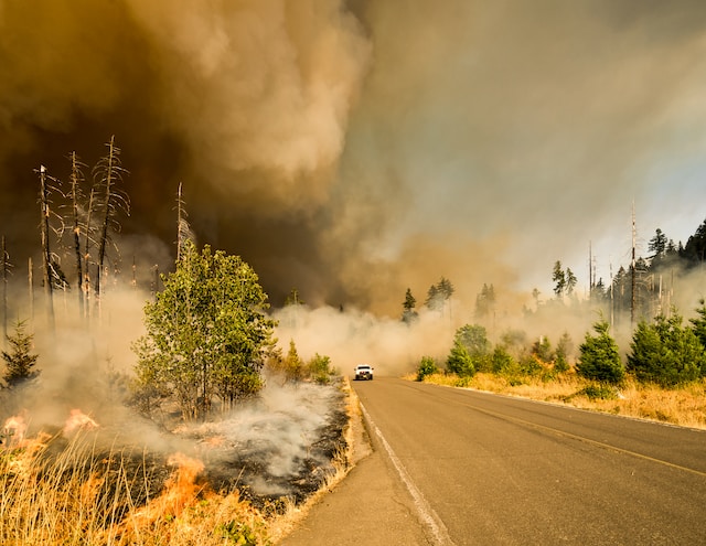 Maui Wildfires: Tragedy Strikes as Search for Missing Persons Persists