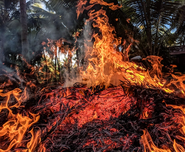 Tragedy Strikes Maui: Survivors Flee into Ocean as Wildfire Claims Six Lives